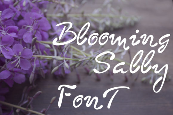 How Blooming Sally Transformed My Brand’s Look with Elegant Typography