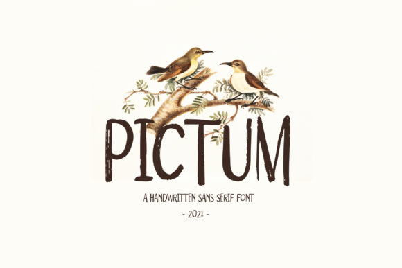 How the Pictum Font Can Elevate Your Small Business Branding