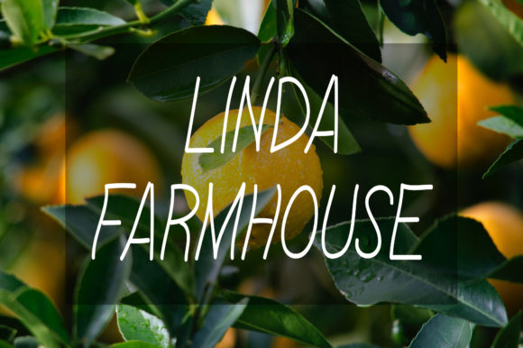Linda Farmhouse: A Handwritten Font for Authentic Campaign Typography