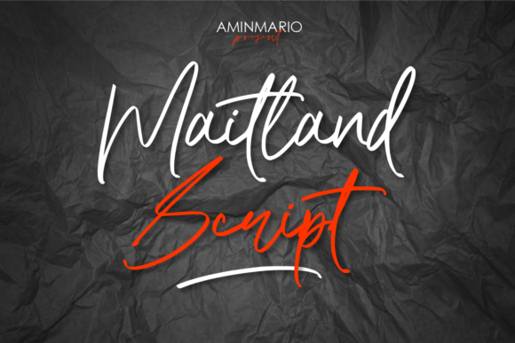 Maitland: A Romantic Script Font for Web Design