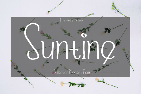 Suntine: A Designer's Review of This Script Amp Typeface